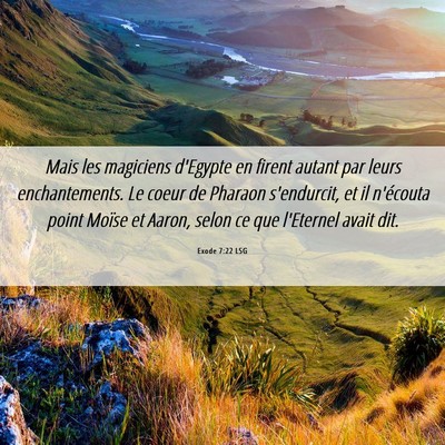 Picture 06 - Exode 7:22 LSG - Mais les magiciens d'Egypte en firent autant par - Bible Verse Picture