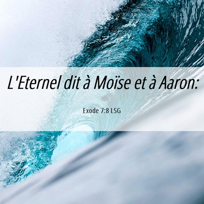 Picture 06 - Exode 7:8 LSG - L'Eternel dit à Moïse et à - Bible Verse Picture