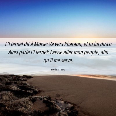 Picture 06 - Exode 8:1 LSG - L'Eternel dit à Moïse: Va vers Pharaon, et tu - Bible Verse Picture