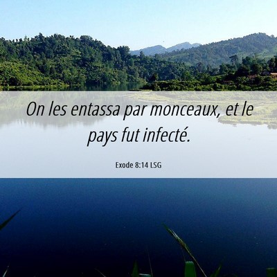 Picture 06 - Exode 8:14 LSG - On les entassa par monceaux, et le pays fut - Bible Verse Picture