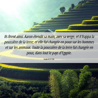 Picture 06 - Exode 8:17 LSG - Ils firent ainsi. Aaron étendit sa main, avec sa - Bible Verse Picture