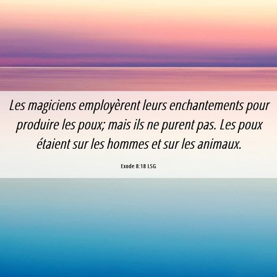Picture 06 - Exode 8:18 LSG - Les magiciens employèrent leurs enchantements - Bible Verse Picture