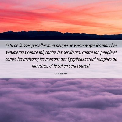Picture 06 - Exode 8:21 LSG - Si tu ne laisses pas aller mon peuple, je vais - Bible Verse Picture