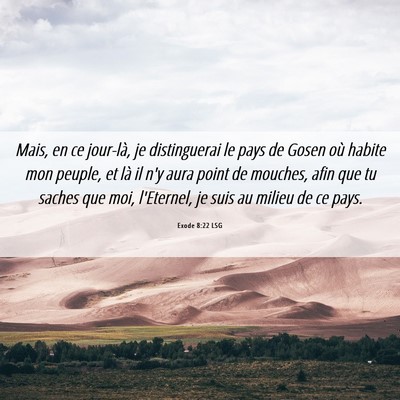 Picture 06 - Exode 8:22 LSG - Mais, en ce jour-là, je distinguerai le pays de - Bible Verse Picture