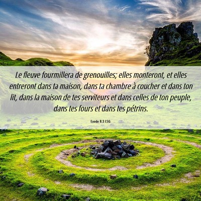 Picture 06 - Exode 8:3 LSG - Le fleuve fourmillera de grenouilles; elles - Bible Verse Picture