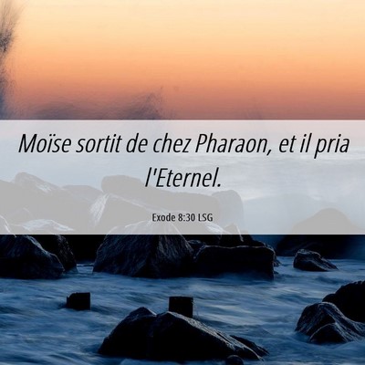 Picture 06 - Exode 8:30 LSG - Moïse sortit de chez Pharaon, et il pria - Bible Verse Picture