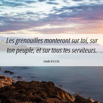 Picture 06 - Exode 8:4 LSG - Les grenouilles monteront sur toi, sur ton - Bible Verse Picture
