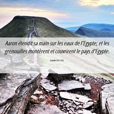 Picture 06 - Exode 8:6 LSG - Aaron étendit sa main sur les eaux de l'Egypte; - Bible Verse Picture