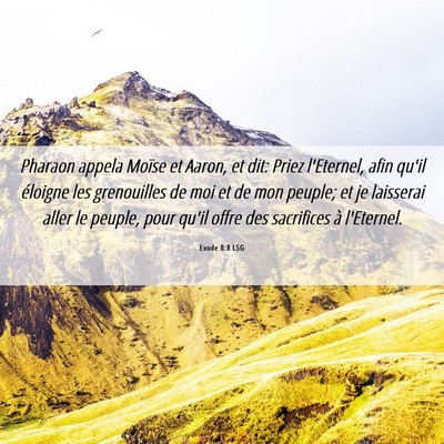 Picture 06 - Exode 8:8 LSG - Pharaon appela Moïse et Aaron, et dit: Priez - Bible Verse Picture