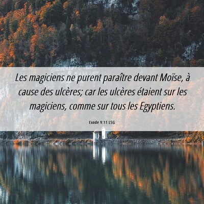Picture 06 - Exode 9:11 LSG - Les magiciens ne purent paraître devant Moïse, - Bible Verse Picture