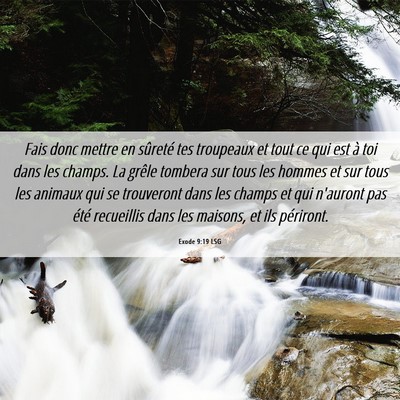 Picture 06 - Exode 9:19 LSG - Fais donc mettre en sûreté tes troupeaux et - Bible Verse Picture