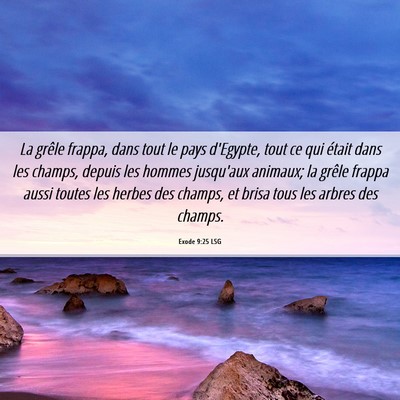 Picture 06 - Exode 9:25 LSG - La grêle frappa, dans tout le pays d'Egypte, - Bible Verse Picture
