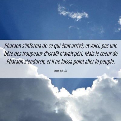 Picture 06 - Exode 9:7 LSG - Pharaon s'informa de ce qui était arrivé; et - Bible Verse Picture