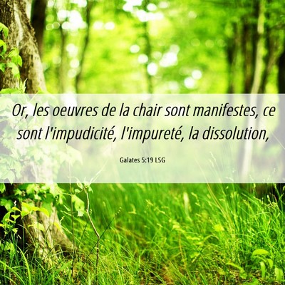 Picture 06 - Galates 5:19 LSG - Or, les oeuvres de la chair sont manifestes, ce - Bible Verse Picture