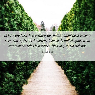 Picture 06 - Genèse 1:12 LSG - La terre produisit de la verdure, de l'herbe - Bible Verse Picture