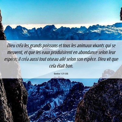 Picture 06 - Genèse 1:21 LSG - Dieu créa les grands poissons et tous les - Bible Verse Picture