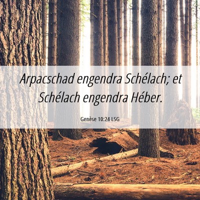 Picture 06 - Genèse 10:24 LSG - Arpacschad engendra Schélach; et Schélach - Bible Verse Picture