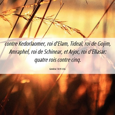 Picture 06 - Genèse 14:9 LSG - contre Kedorlaomer, roi d'Elam, Tideal, roi de - Bible Verse Picture