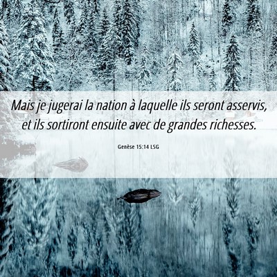 Picture 06 - Genèse 15:14 LSG - Mais je jugerai la nation à laquelle ils seront - Bible Verse Picture