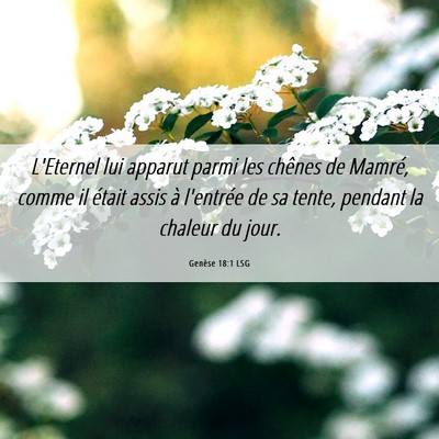 Picture 06 - Genèse 18:1 LSG - L'Eternel lui apparut parmi les chênes de - Bible Verse Picture