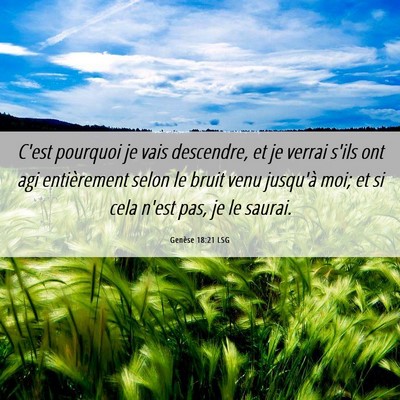 Picture 06 - Genèse 18:21 LSG - C'est pourquoi je vais descendre, et je verrai - Bible Verse Picture