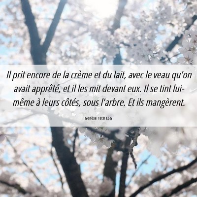 Picture 06 - Genèse 18:8 LSG - Il prit encore de la crème et du lait, avec le - Bible Verse Picture