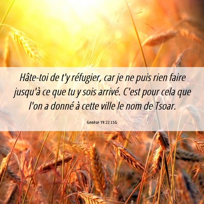 Picture 06 - Genèse 19:22 LSG - Hâte-toi de t'y réfugier, car je ne puis rien - Bible Verse Picture