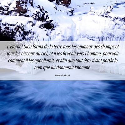 Picture 06 - Genèse 2:19 LSG - L'Eternel Dieu forma de la terre tous les animaux - Bible Verse Picture