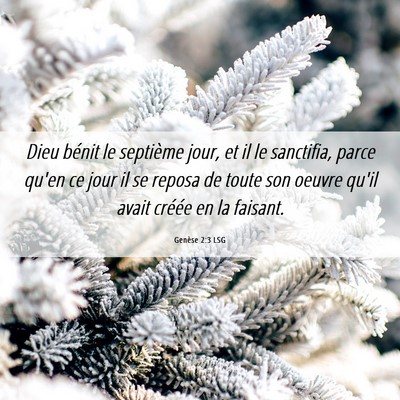 Picture 06 - Genèse 2:3 LSG - Dieu bénit le septième jour, et il le - Bible Verse Picture