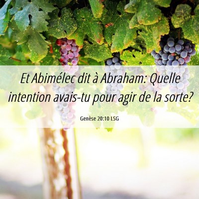 Picture 06 - Genèse 20:10 LSG - Et Abimélec dit à Abraham: Quelle intention - Bible Verse Picture