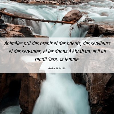 Picture 06 - Genèse 20:14 LSG - Abimélec prit des brebis et des boeufs, des - Bible Verse Picture