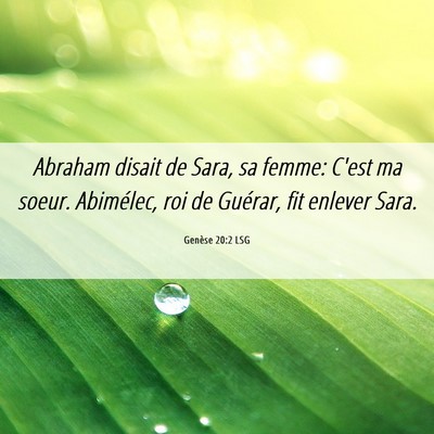 Picture 06 - Genèse 20:2 LSG - Abraham disait de Sara, sa femme: C'est ma soeur. - Bible Verse Picture
