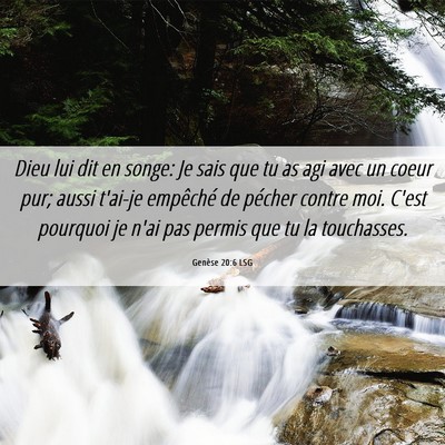 Picture 06 - Genèse 20:6 LSG - Dieu lui dit en songe: Je sais que tu as agi avec - Bible Verse Picture