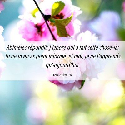 Picture 06 - Genèse 21:26 LSG - Abimélec répondit: J'ignore qui a fait cette - Bible Verse Picture