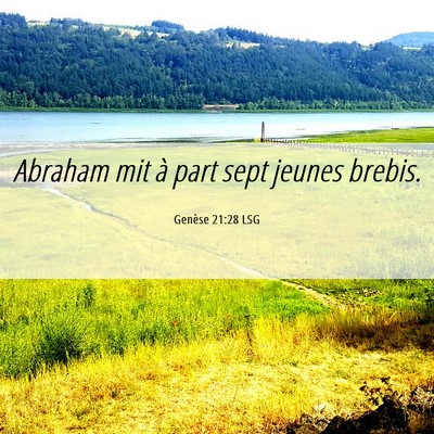 Picture 06 - Genèse 21:28 LSG - Abraham mit à part sept jeunes - Bible Verse Picture