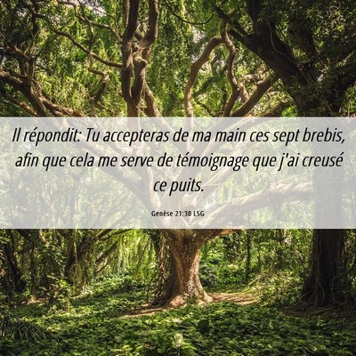 Picture 06 - Genèse 21:30 LSG - Il répondit: Tu accepteras de ma main ces sept - Bible Verse Picture