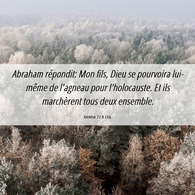 Picture 06 - Genèse 22:8 LSG - Abraham répondit: Mon fils, Dieu se pourvoira - Bible Verse Picture