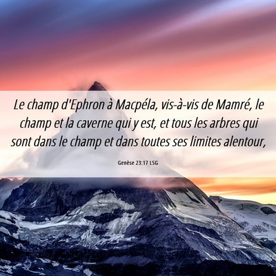 Picture 06 - Genèse 23:17 LSG - Le champ d'Ephron à Macpéla, vis-à-vis de - Bible Verse Picture