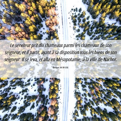 Picture 06 - Genèse 24:10 LSG - Le serviteur prit dix chameaux parmi les chameaux - Bible Verse Picture