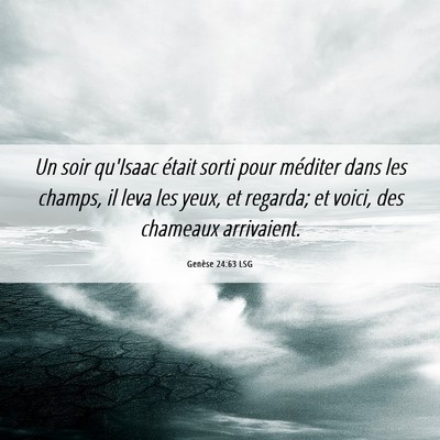 Picture 06 - Genèse 24:63 LSG - Un soir qu'Isaac était sorti pour méditer dans - Bible Verse Picture