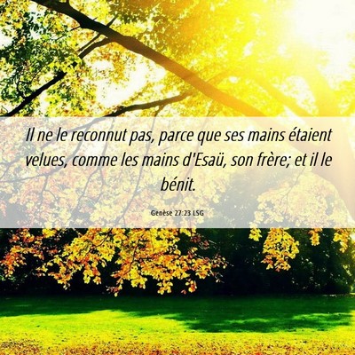 Picture 06 - Genèse 27:23 LSG - Il ne le reconnut pas, parce que ses mains - Bible Verse Picture