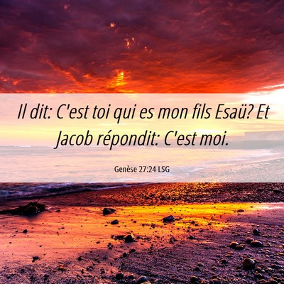 Picture 06 - Genèse 27:24 LSG - Il dit: C'est toi qui es mon fils Esaü? Et Jacob - Bible Verse Picture