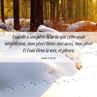Picture 06 - Genèse 27:38 LSG - Esaü dit à son père: N'as-tu que cette seule - Bible Verse Picture
