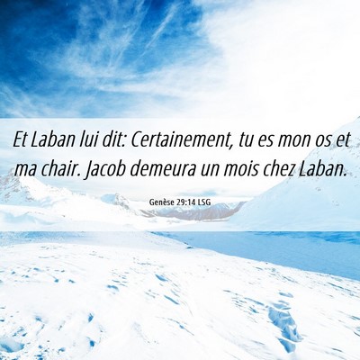 Picture 06 - Genèse 29:14 LSG - Et Laban lui dit: Certainement, tu es mon os et - Bible Verse Picture