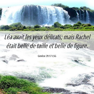 Picture 06 - Genèse 29:17 LSG - Léa avait les yeux délicats; mais Rachel était - Bible Verse Picture