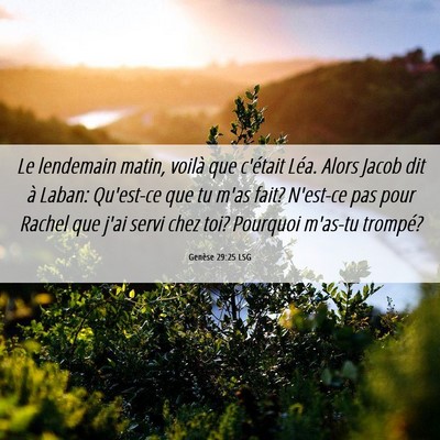 Picture 06 - Genèse 29:25 LSG - Le lendemain matin, voilà que c'était Léa. - Bible Verse Picture