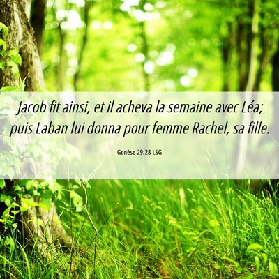 Picture 06 - Genèse 29:28 LSG - Jacob fit ainsi, et il acheva la semaine avec - Bible Verse Picture
