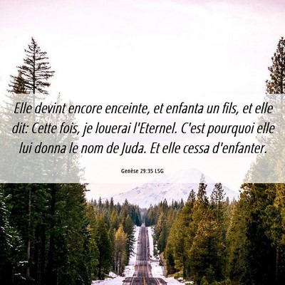 Picture 06 - Genèse 29:35 LSG - Elle devint encore enceinte, et enfanta un fils, - Bible Verse Picture
