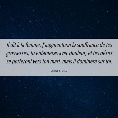 Picture 06 - Genèse 3:16 LSG - Il dit à la femme: J'augmenterai la souffrance - Bible Verse Picture