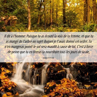 Picture 06 - Genèse 3:17 LSG - Il dit à l'homme: Puisque tu as écouté la voix - Bible Verse Picture